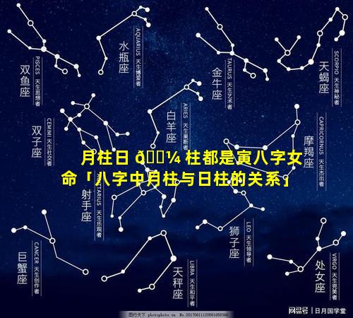 月柱日 🌼 柱都是寅八字女命「八字中月柱与日柱的关系」